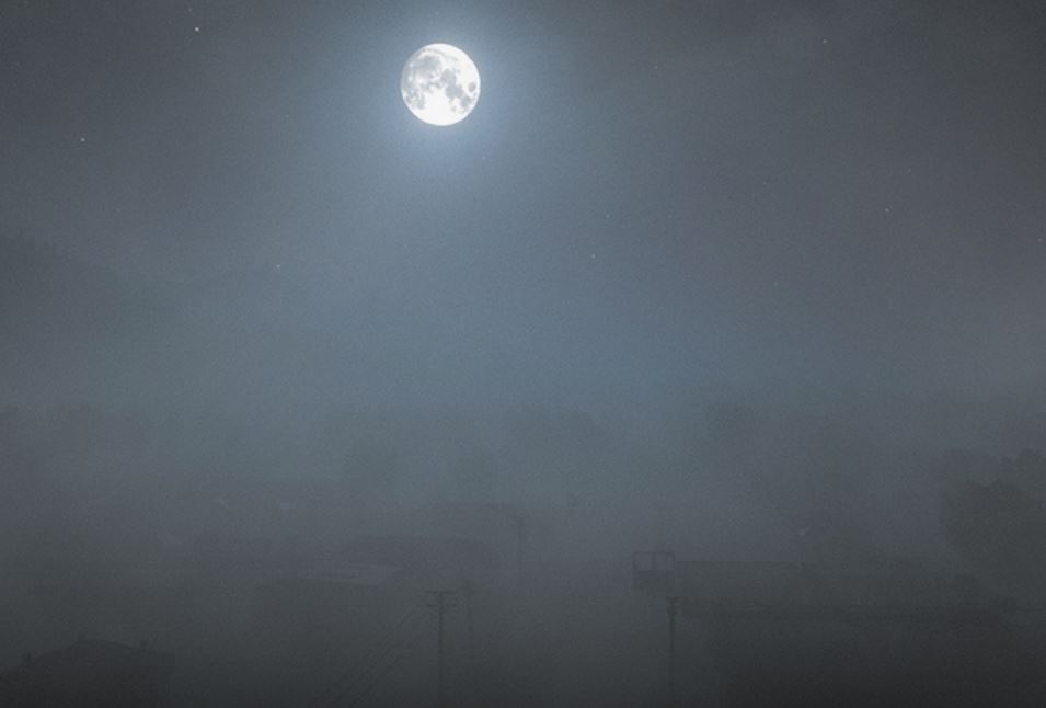 n1z1